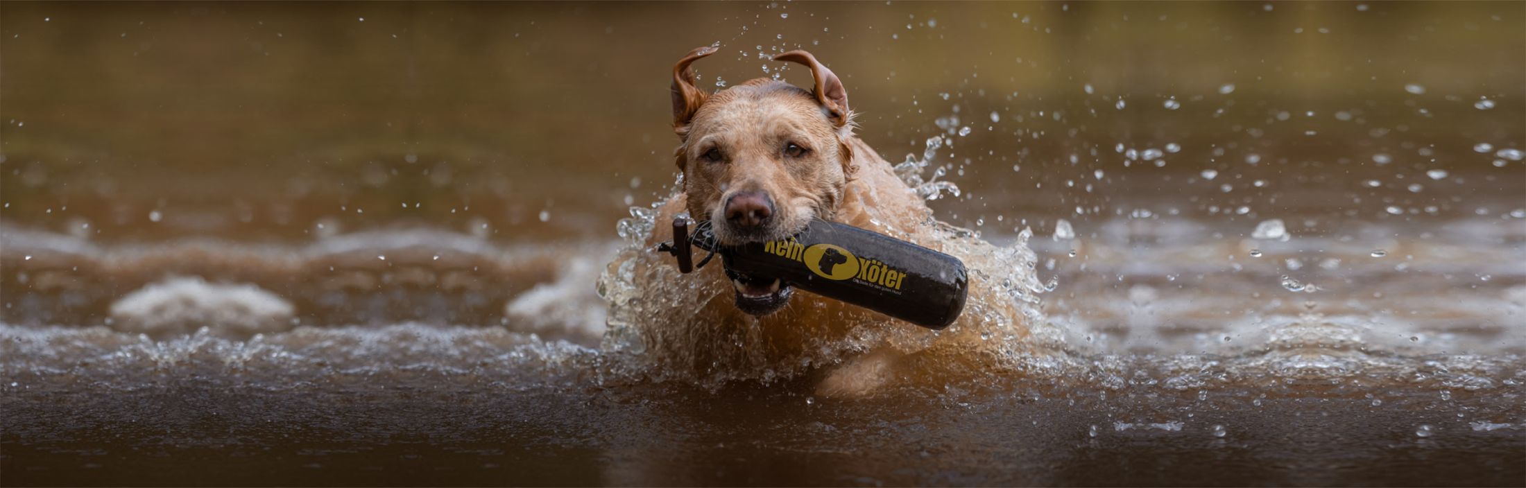 Dummytraining im Wasser, ©keinköter
