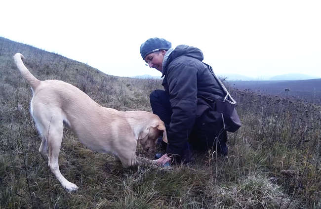 Still sein im training