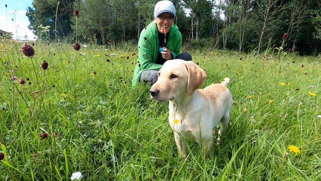 Trainieren mit Parametern