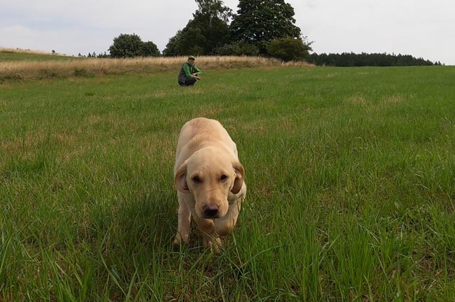 Trainieren mit Parametern