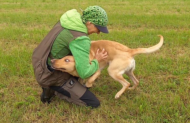 spielen mit dem Hund