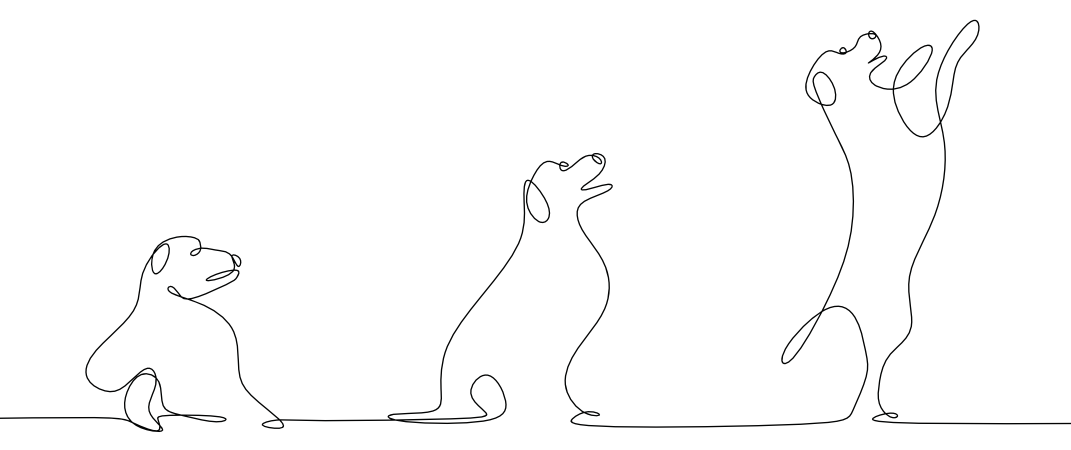 Hundeerziehung mit KeinKöter, ©stock.adobe.com