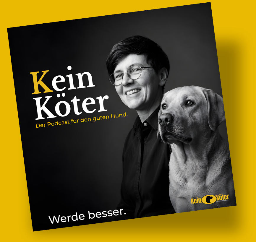 Der Podcast von KeinKöter