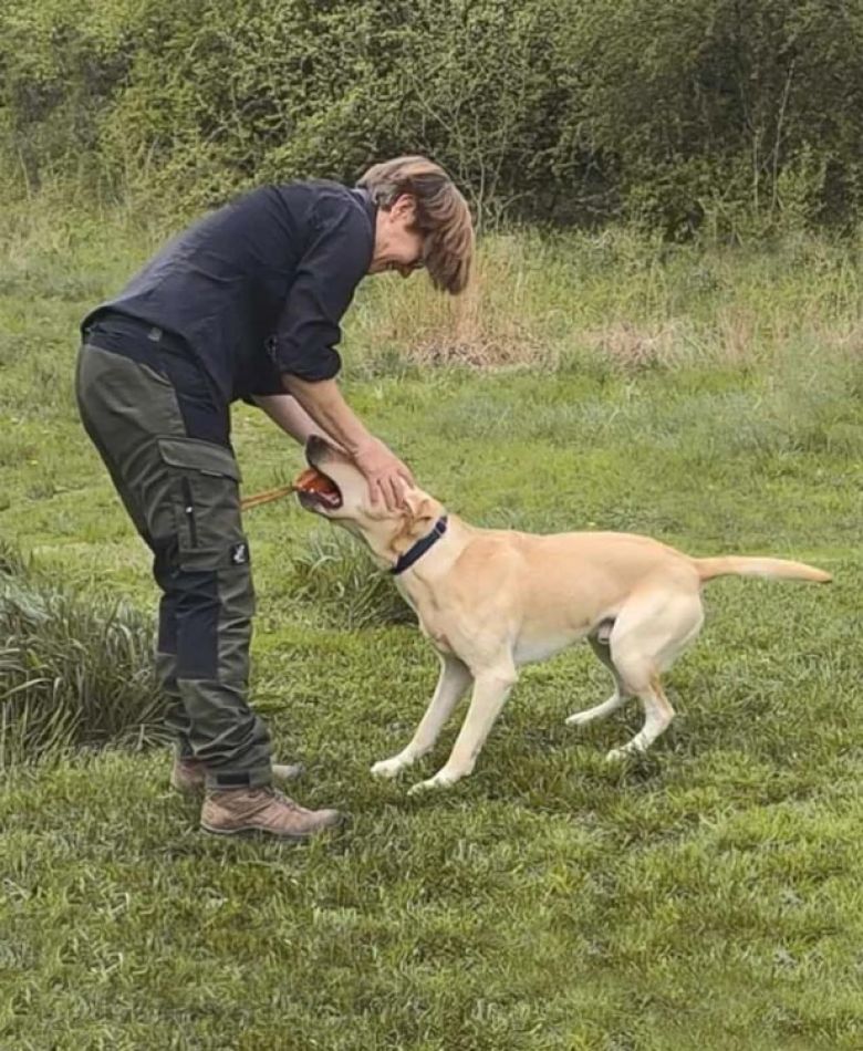 Rückruf klappt, der Kurs von Kein Köter