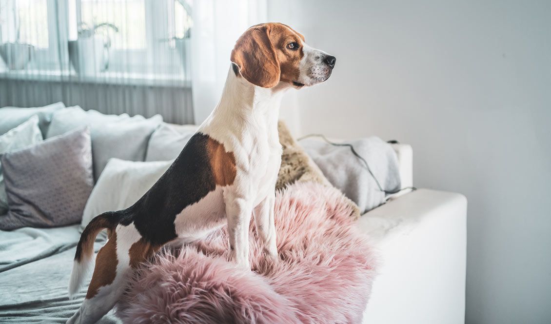 © Przemyslaw Iciak, stock.adobe.com