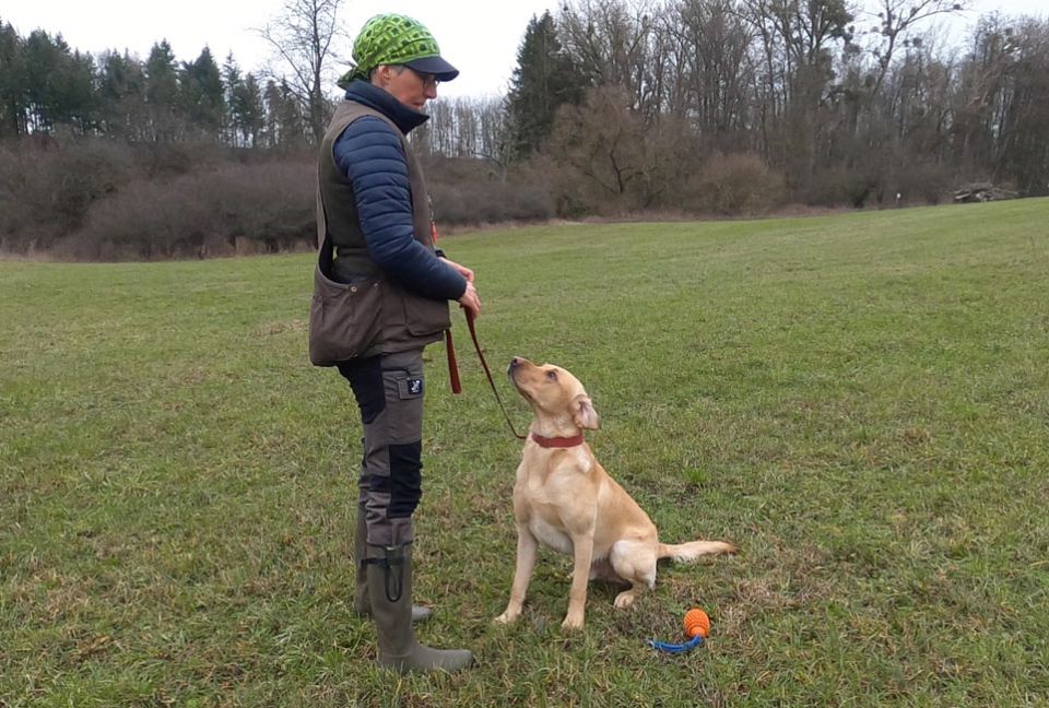 Von der Mohnenfluh Captain beim Üben
