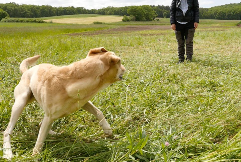 Byron während eines Stopppfiffes